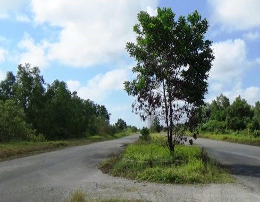 DPRD PPU Pastikan Dukungan Penuh untuk Pengembangan Coastal Road